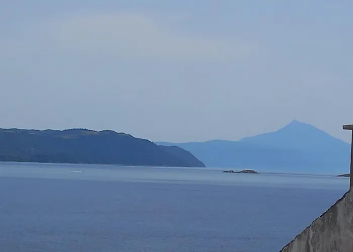 Garifalia * Amoliani